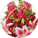 Pooja Chaudhary profile picture